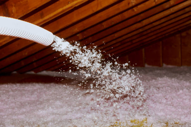 Best Commercial Insulation in Needles, CA