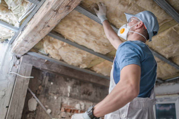 Best Insulation for Specific Applications in Needles, CA