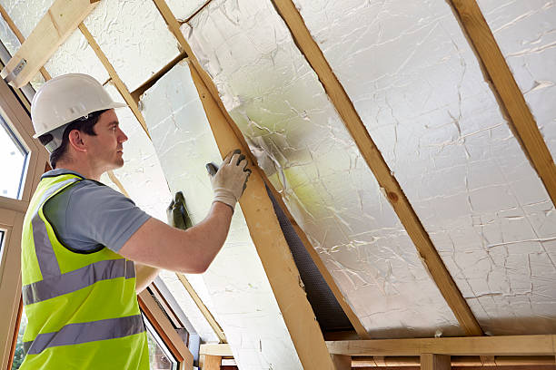Best Insulation Installation Services in Needles, CA